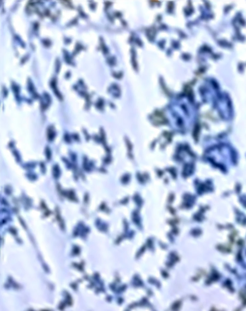 Leyna Bikini Bottom in Blue Flower Chain - Image 5