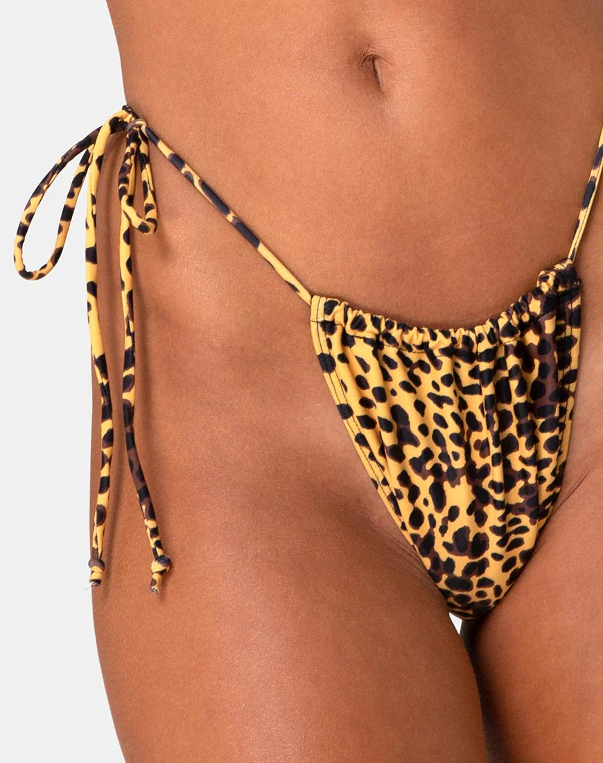 Leyna Bikini Bottom in Golden Cheetah - Image 5