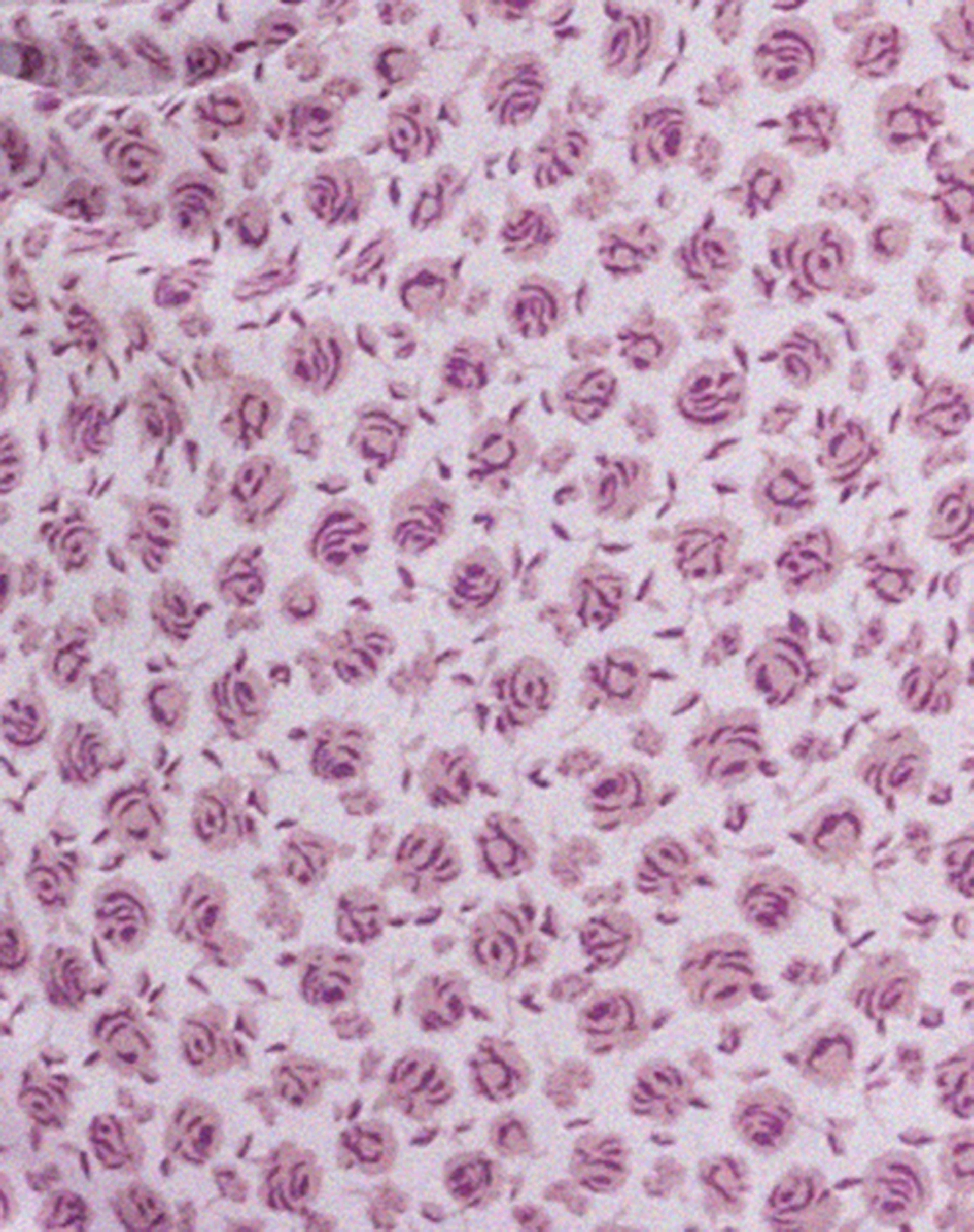 Lona Midi Dress in Ditsy Rose Lilac - Image 6
