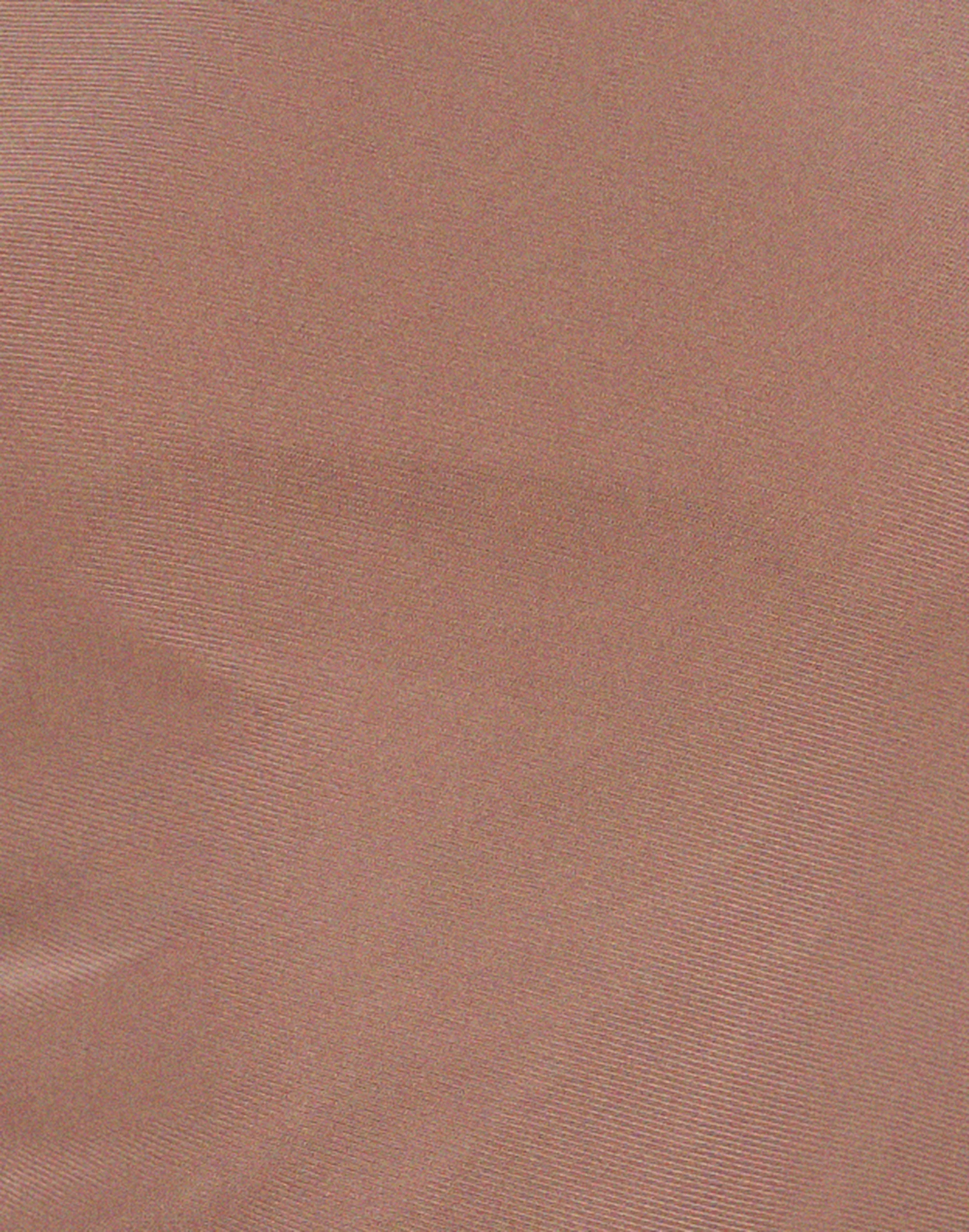 Mahira Long Sleeve Mesh Top in Light Brown - Image 5
