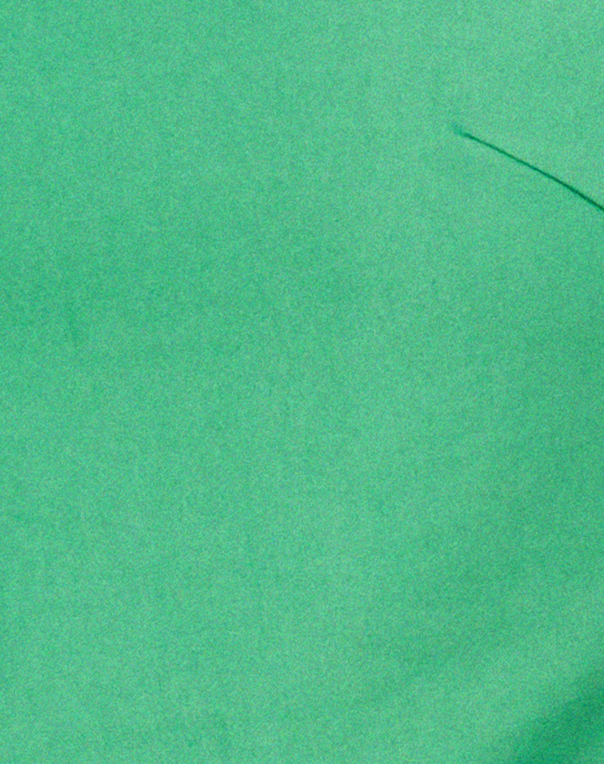 Merita Crop Top in Green - Image 5
