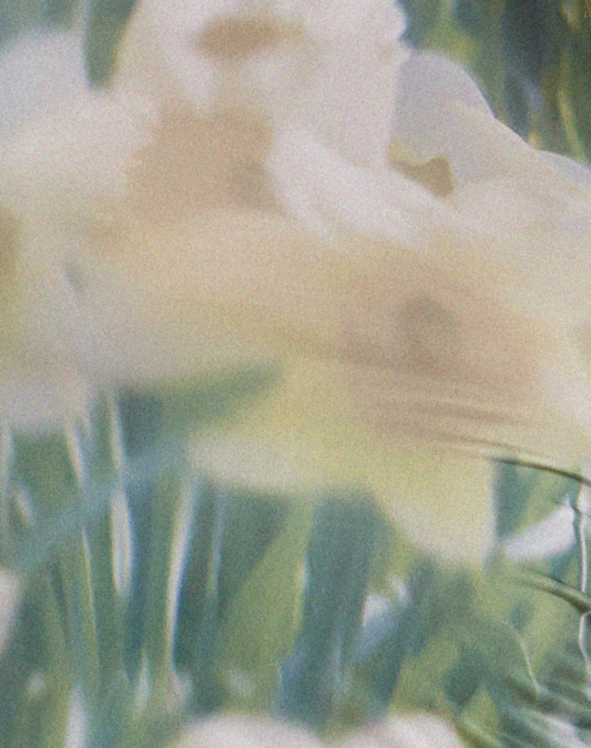 Monve Vest Top in Digi Flower - Image 6