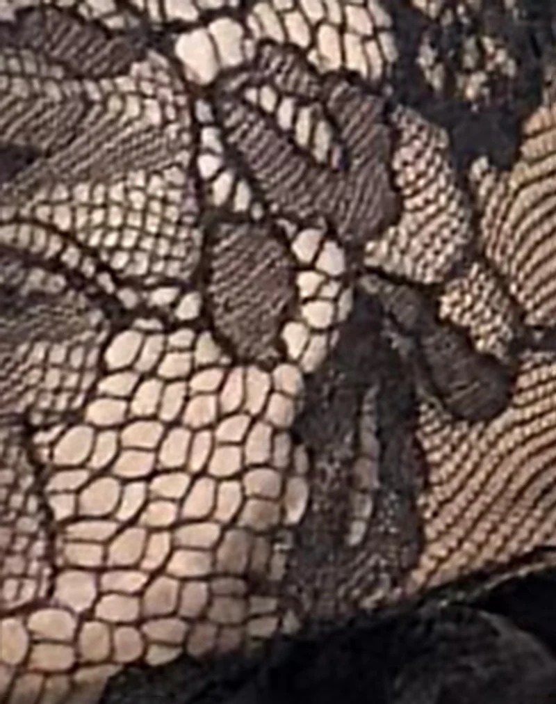 Najya Bra in Black Lace - Image 6