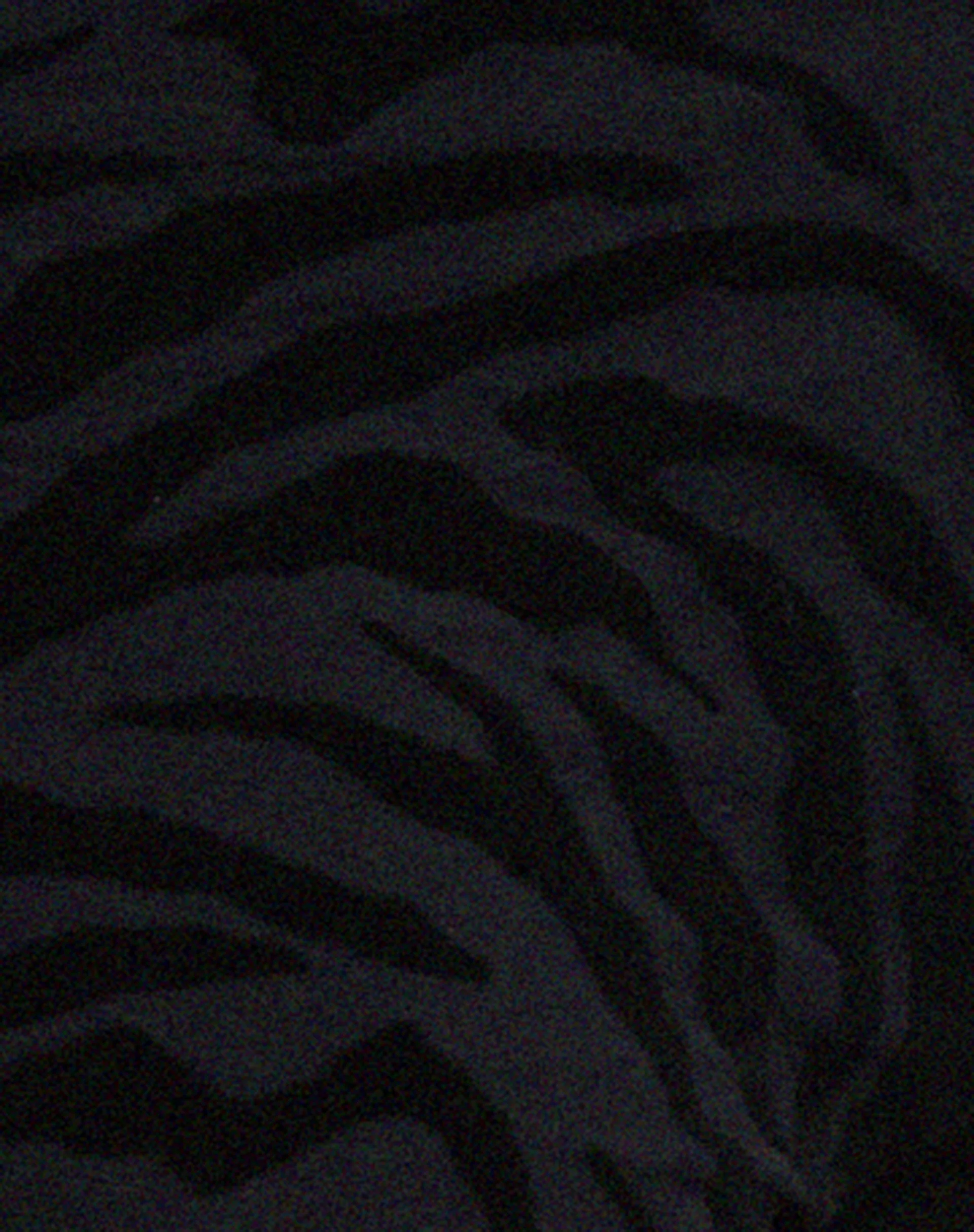Nancha Flare Trouser in Zebra Flock Black - Image 6