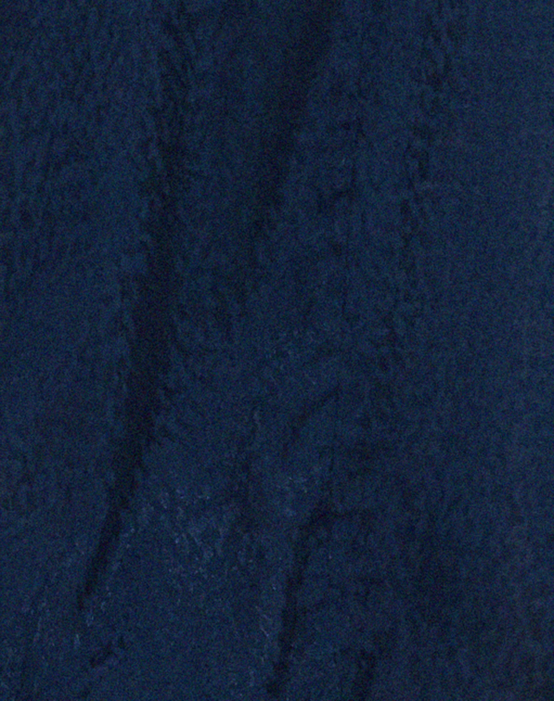 Nosita Midi Dress in Satin Cheetah Navy - Image 5