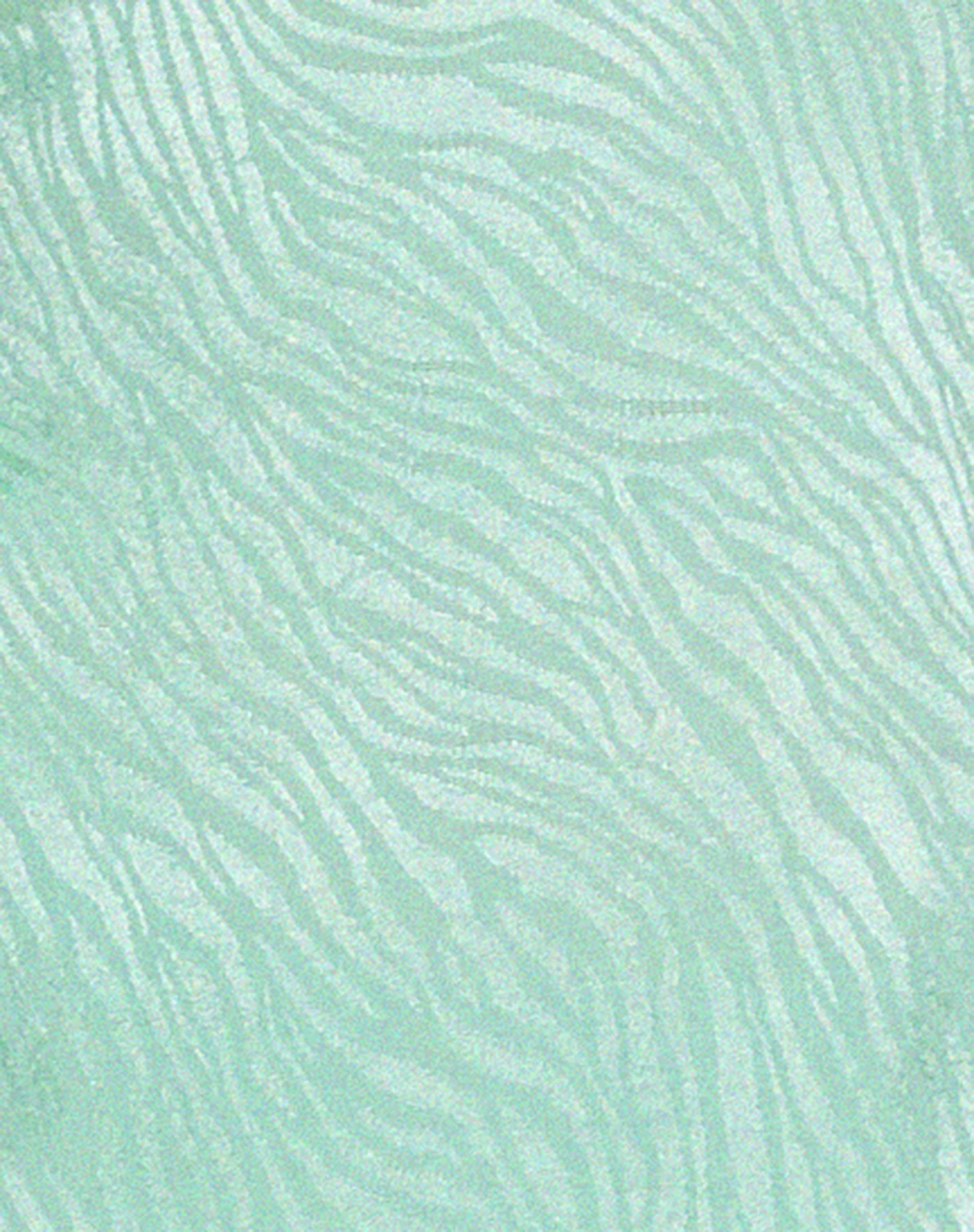 Nosita Midi Dress in Satin Zebra Mint Green - Image 5