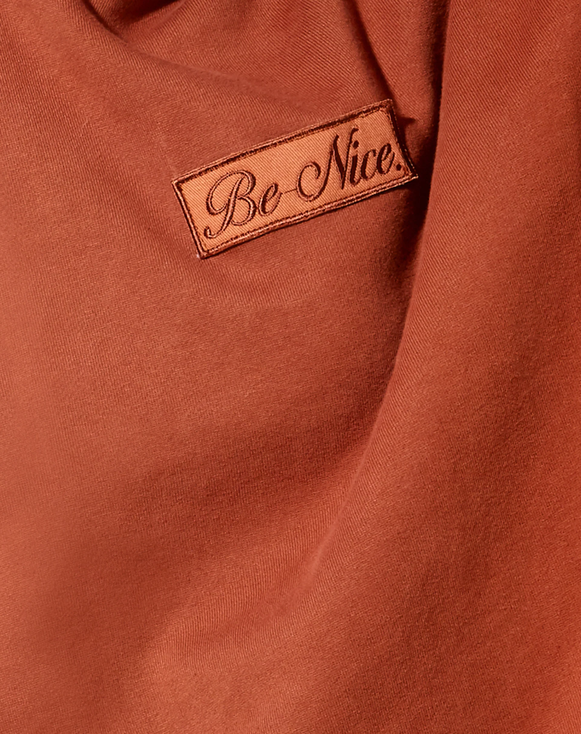 Oversize Hoodie in Burnt Brick 'Be Nice' Label Embro - Image 5