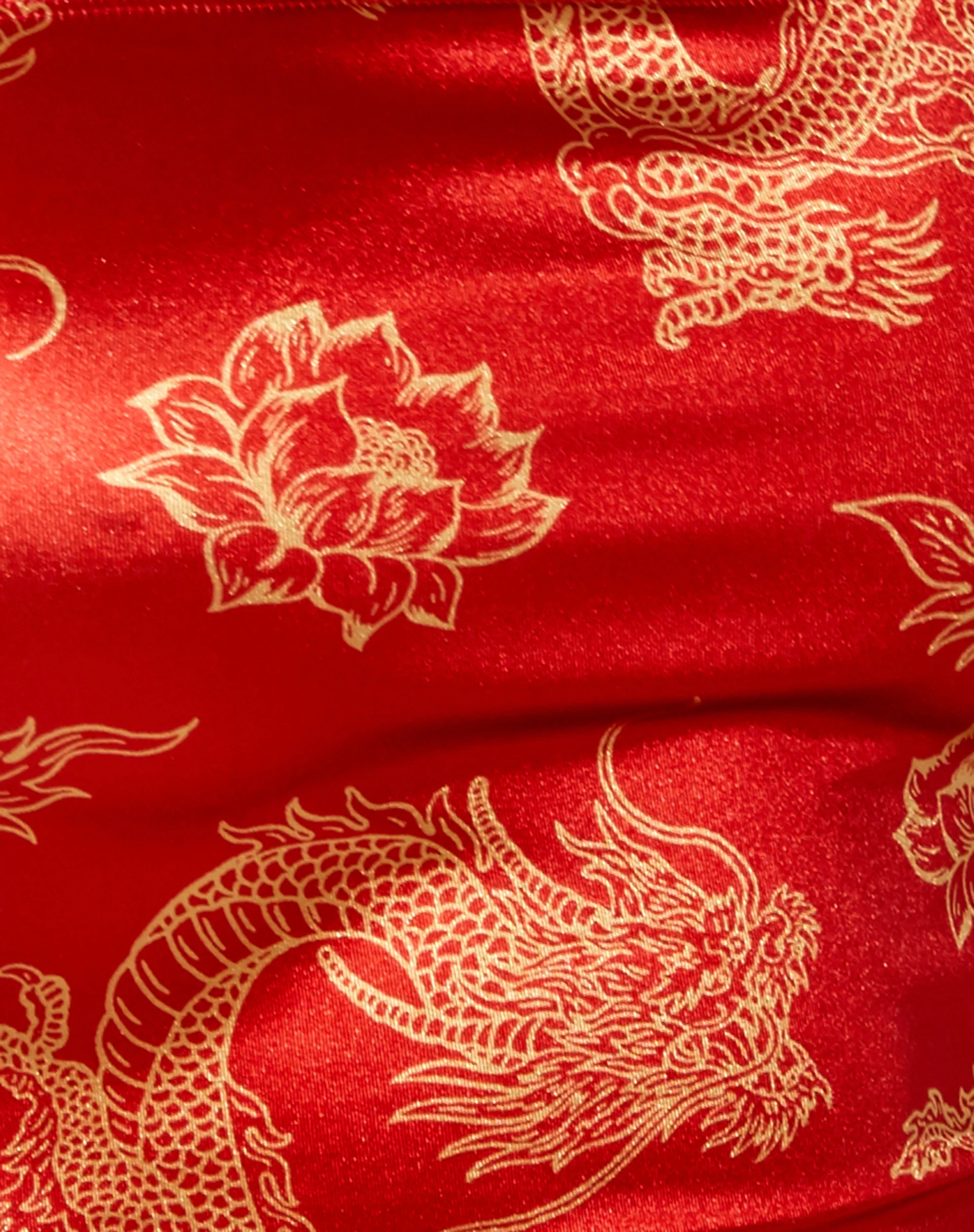 Ozka Crop Top in Dragon Flower Red and Gold - Image 5