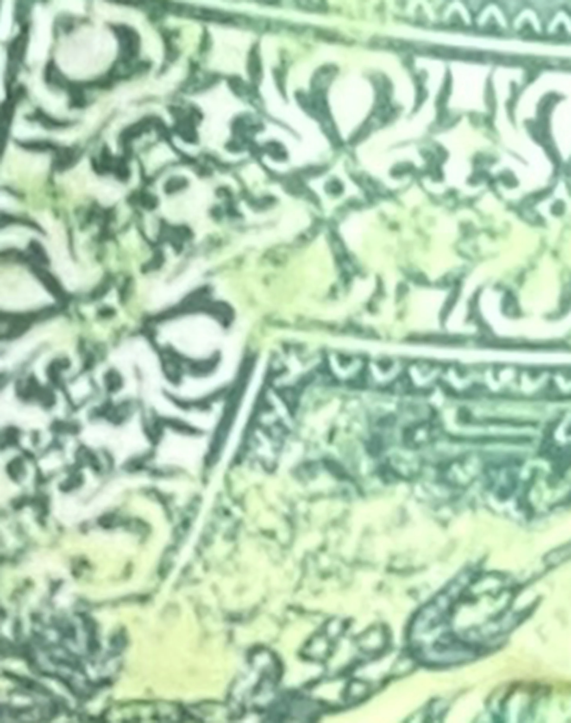 Pami Bikini Top in Abstract Paisley Green - Image 7