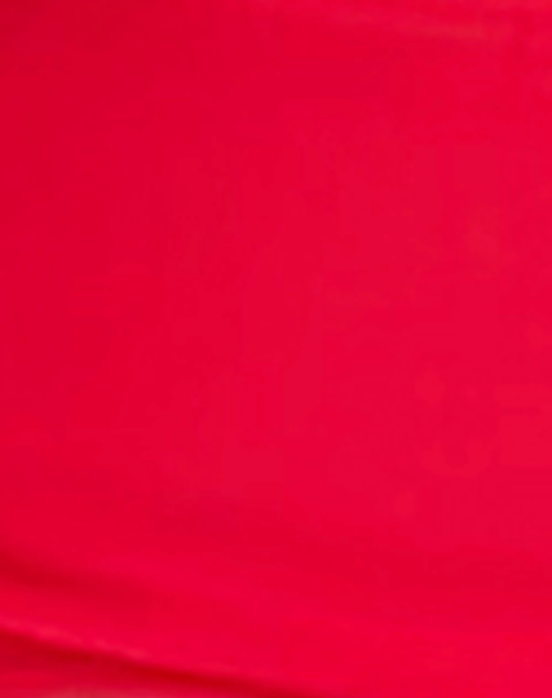 Pami Bikini Top in Scarlet Red - Image 7