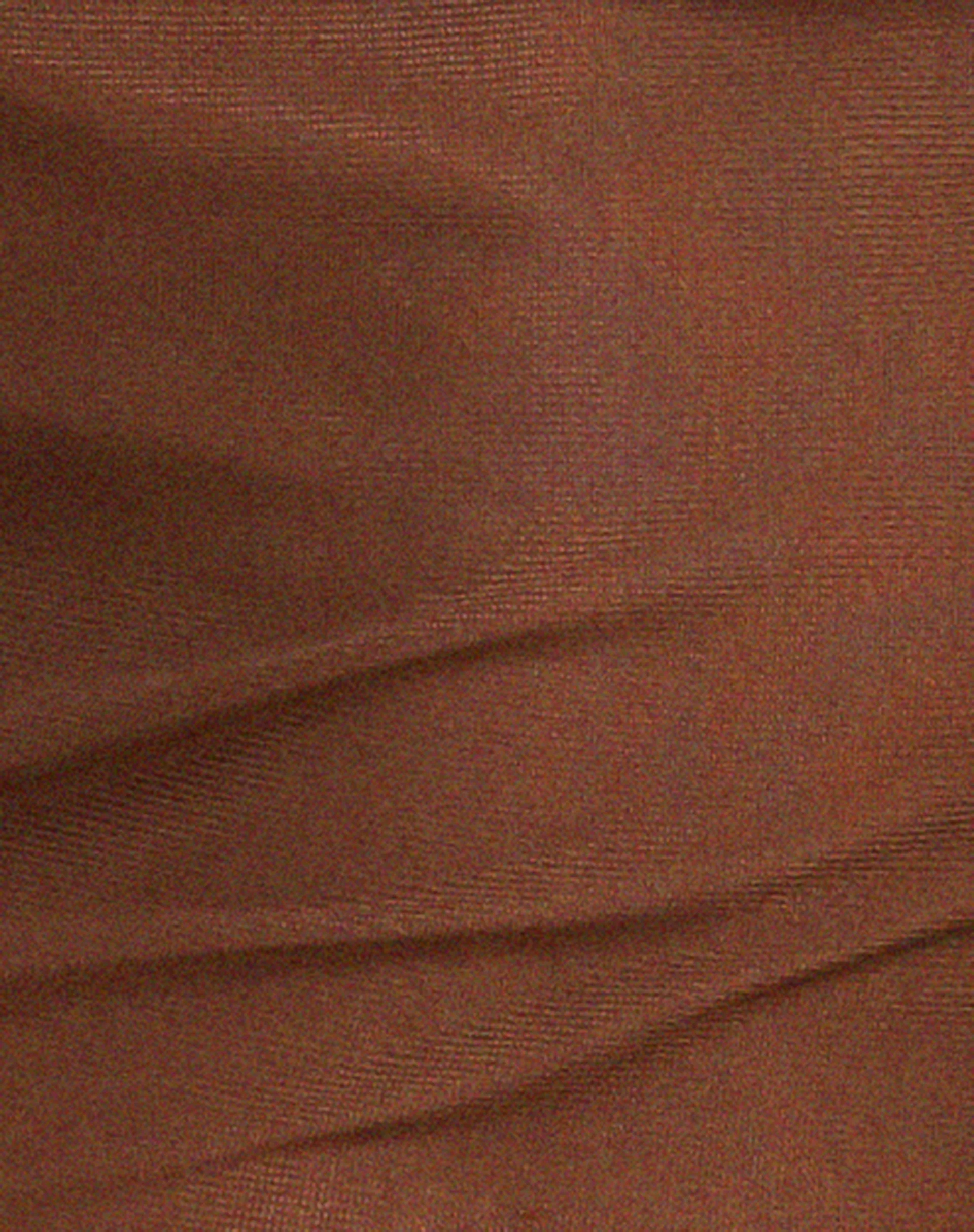 Pami Bikini Top in Shimmer Brown - Image 7