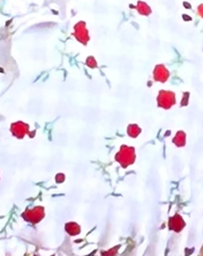Pami Bikini Top in Red Floral Beige Gingham with Ruffle - Image 8