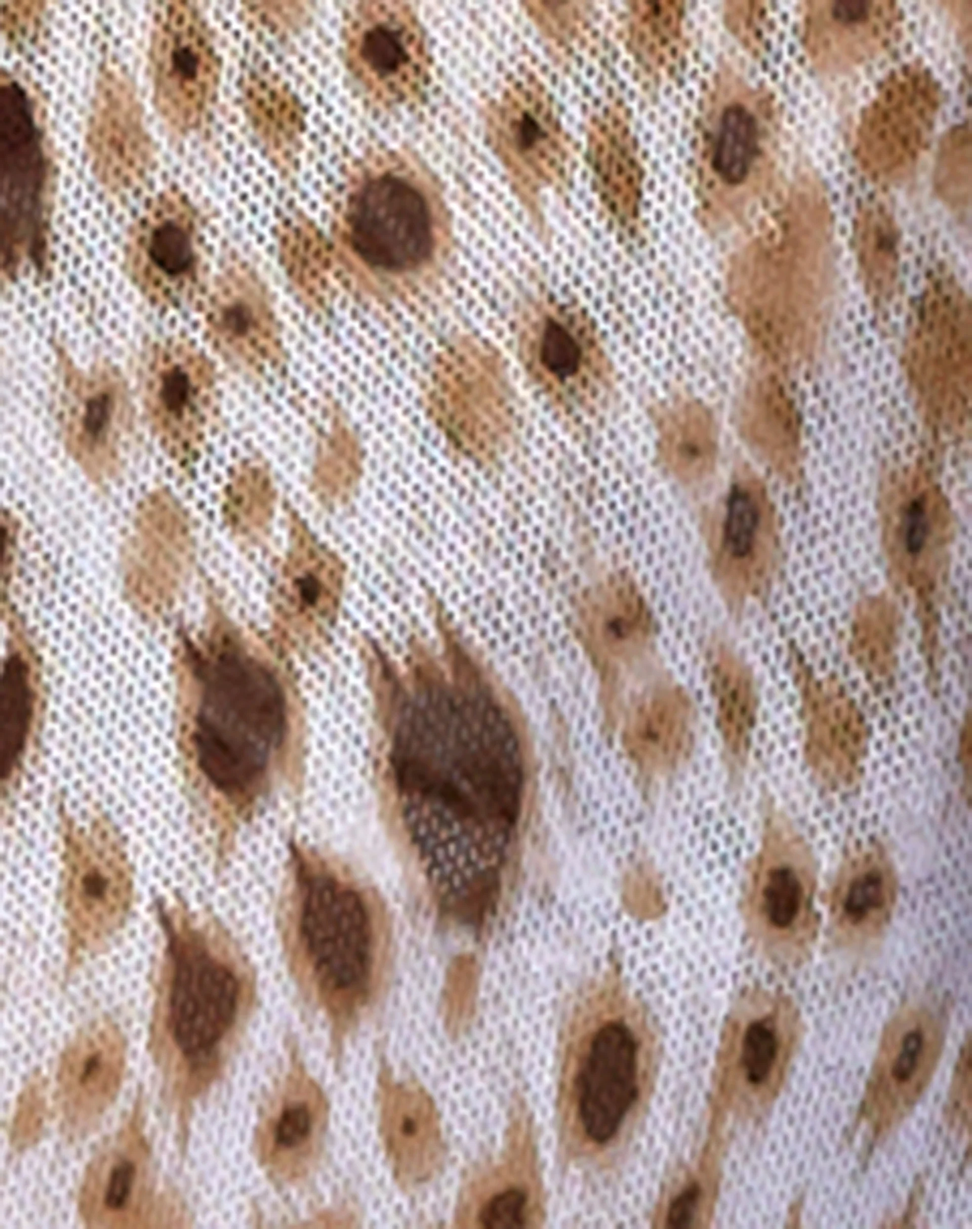 Pao Sarong in Sand Leopard - Image 5