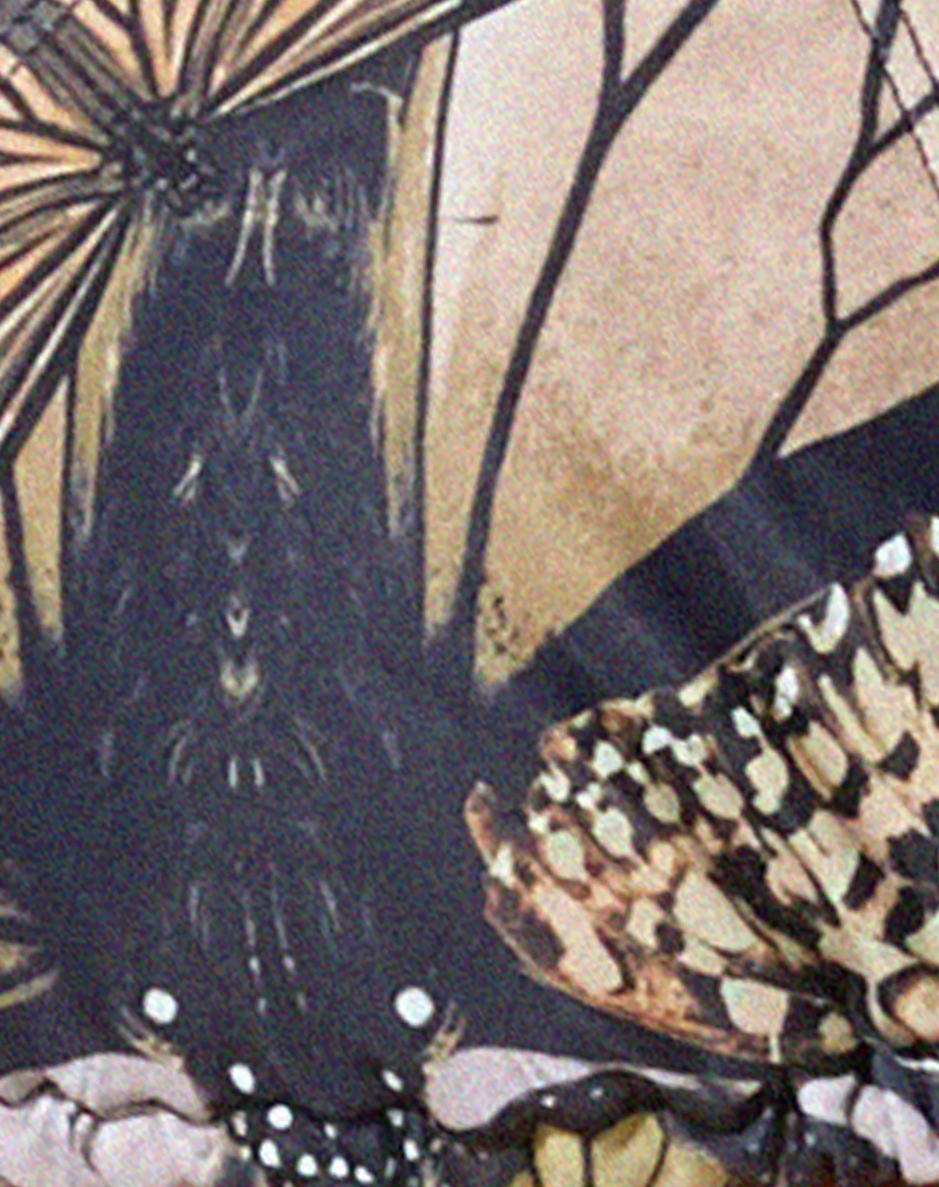 Parmia Bikini Top in Abstract Butterfly Gold - Image 6