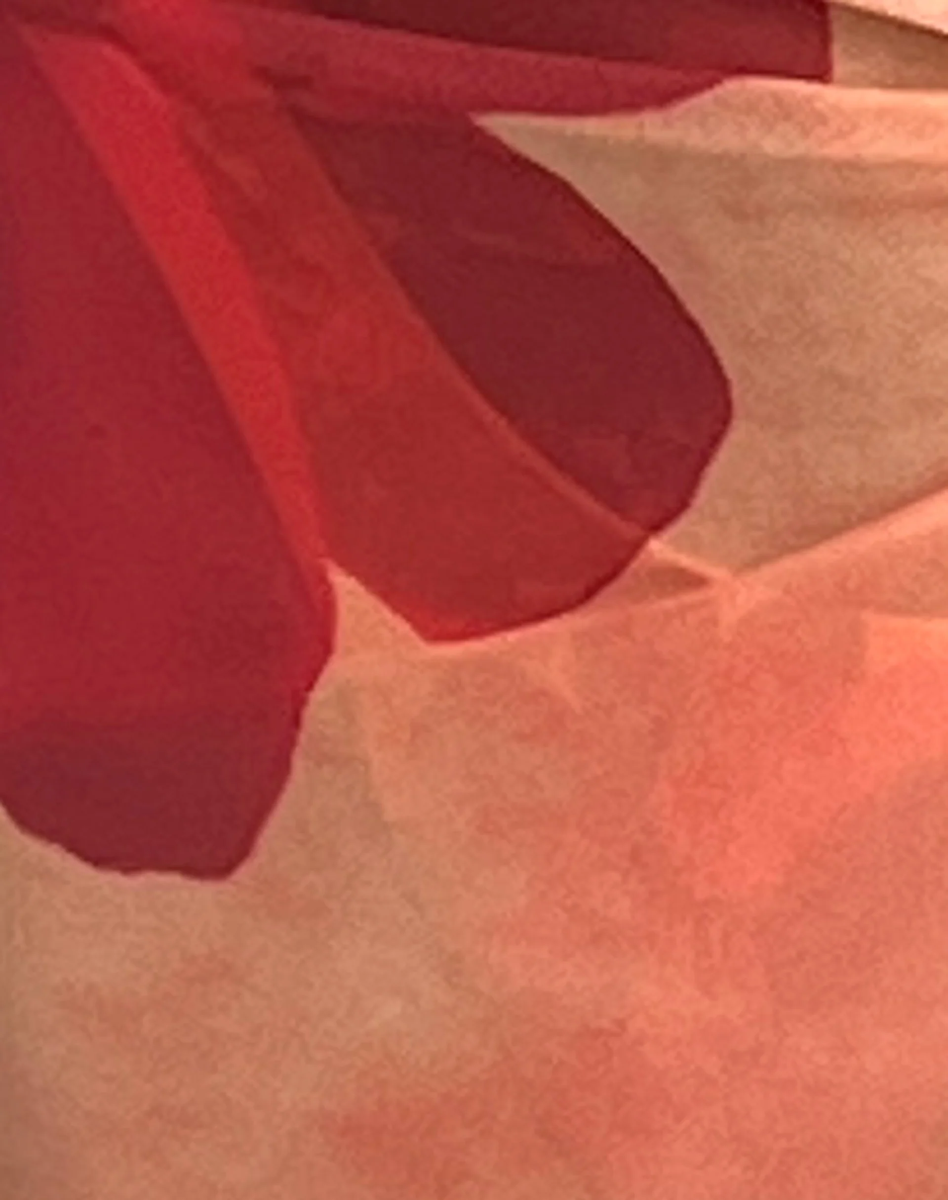 Pawon Mesh Sarong in Orange Flower - Image 6