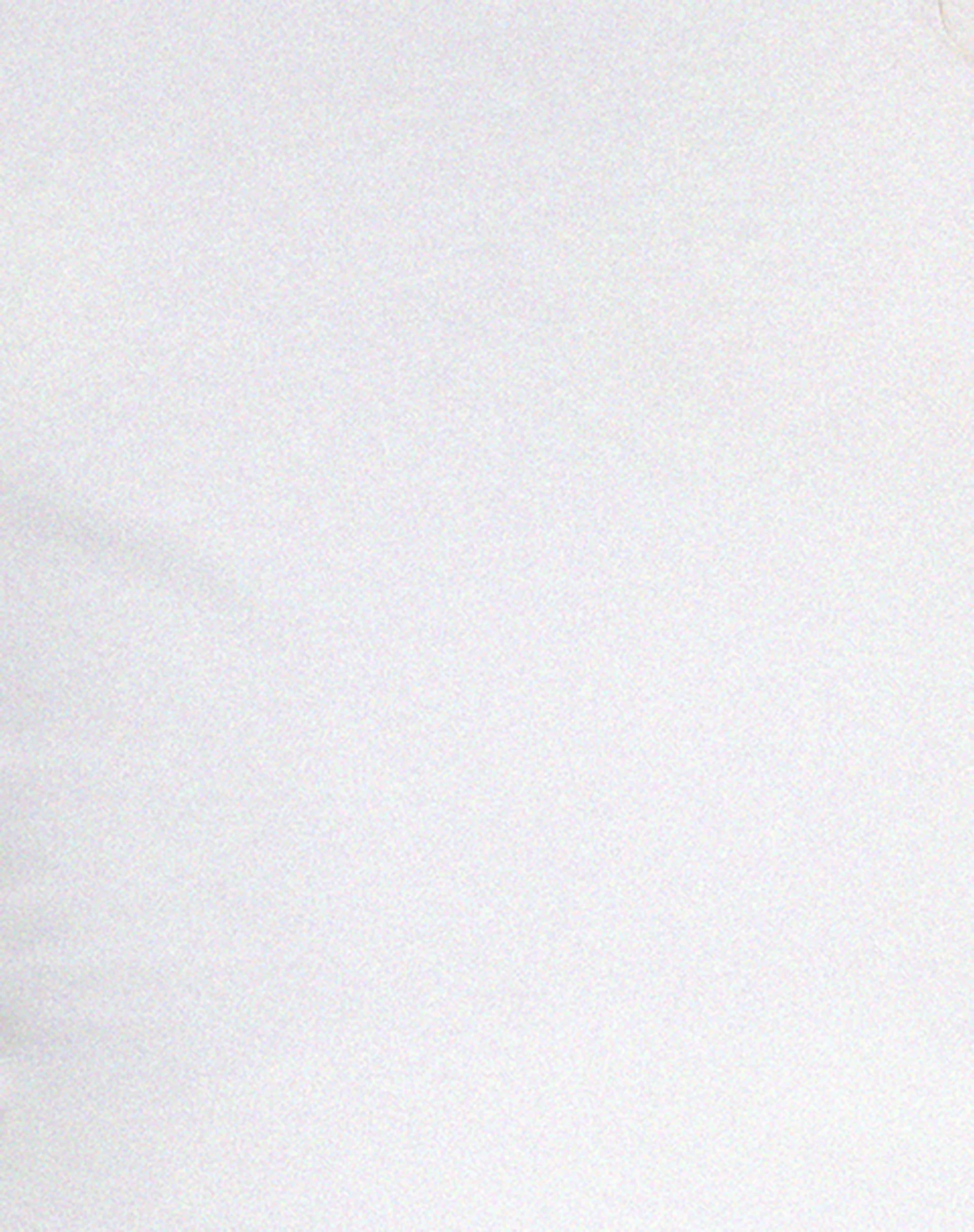 Pico Bardot Top in White - Image 5