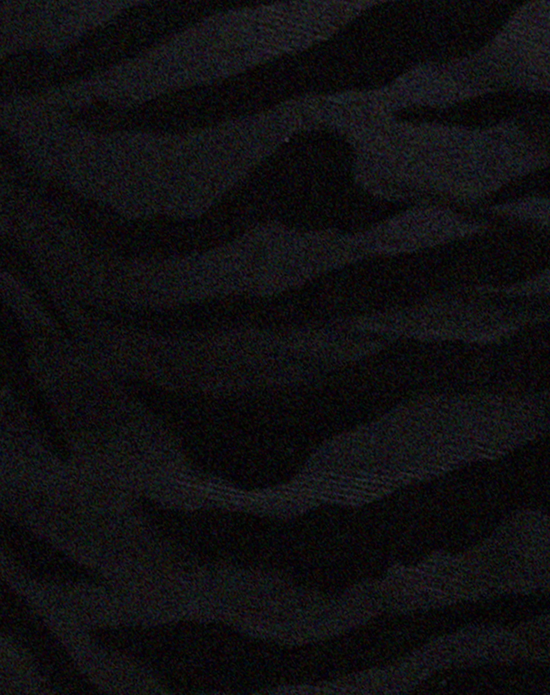 Rayu Top in Zebra Flock Black - Image 5