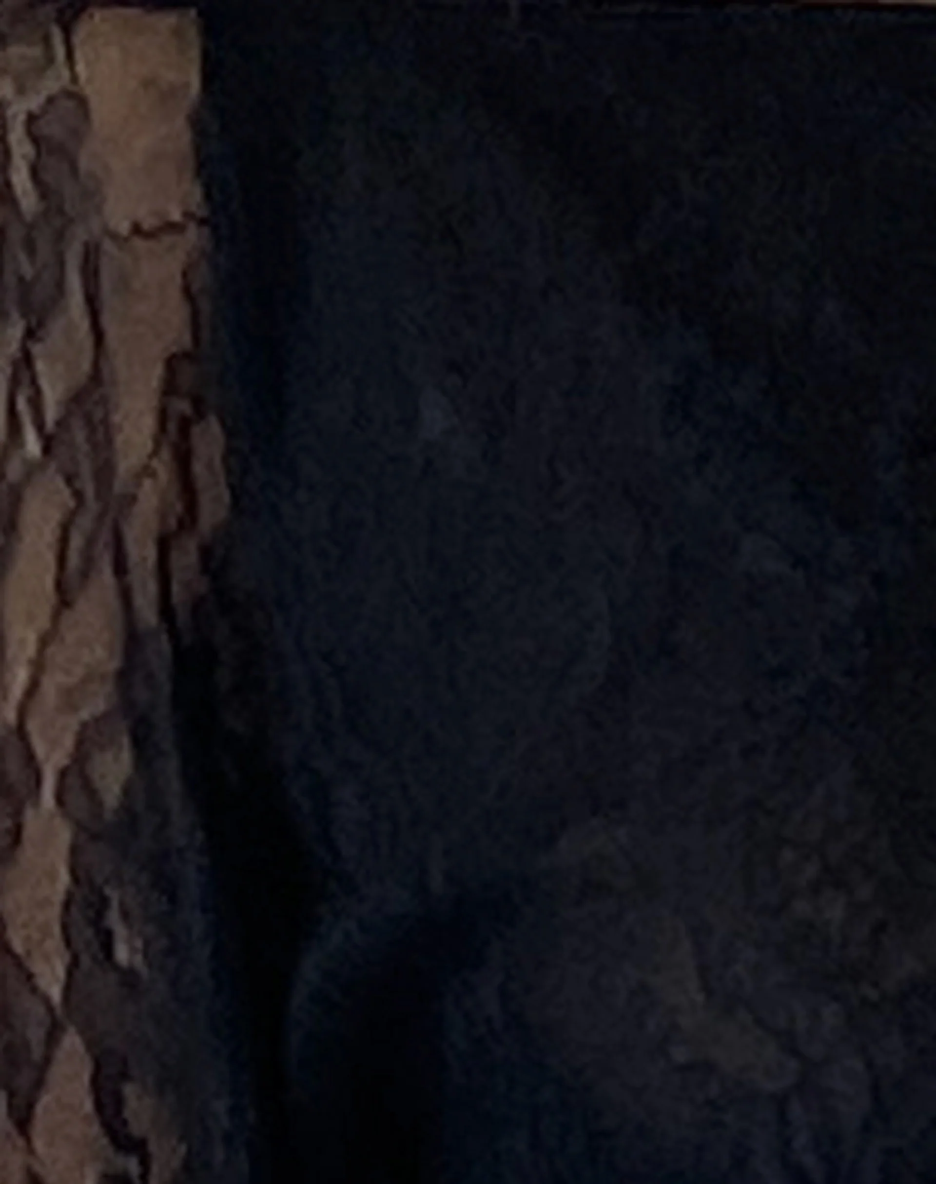 Rory Long Sleeve Lace Top in Black - Image 7