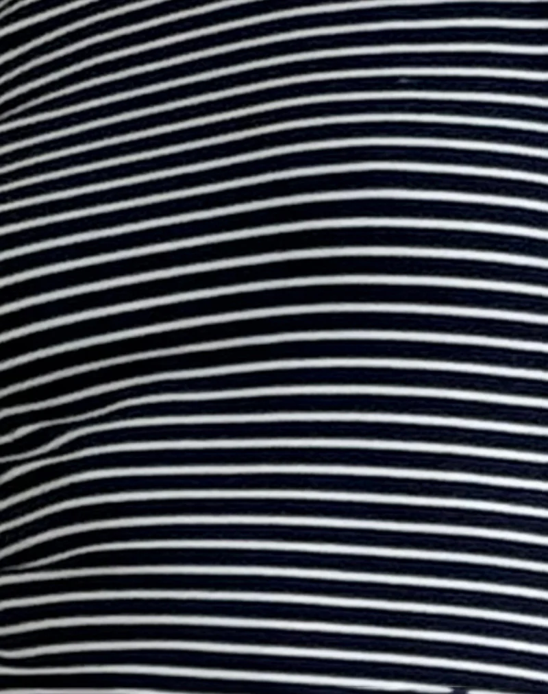 Roswitha Mini Dress in Navy with White Stripe - Image 5