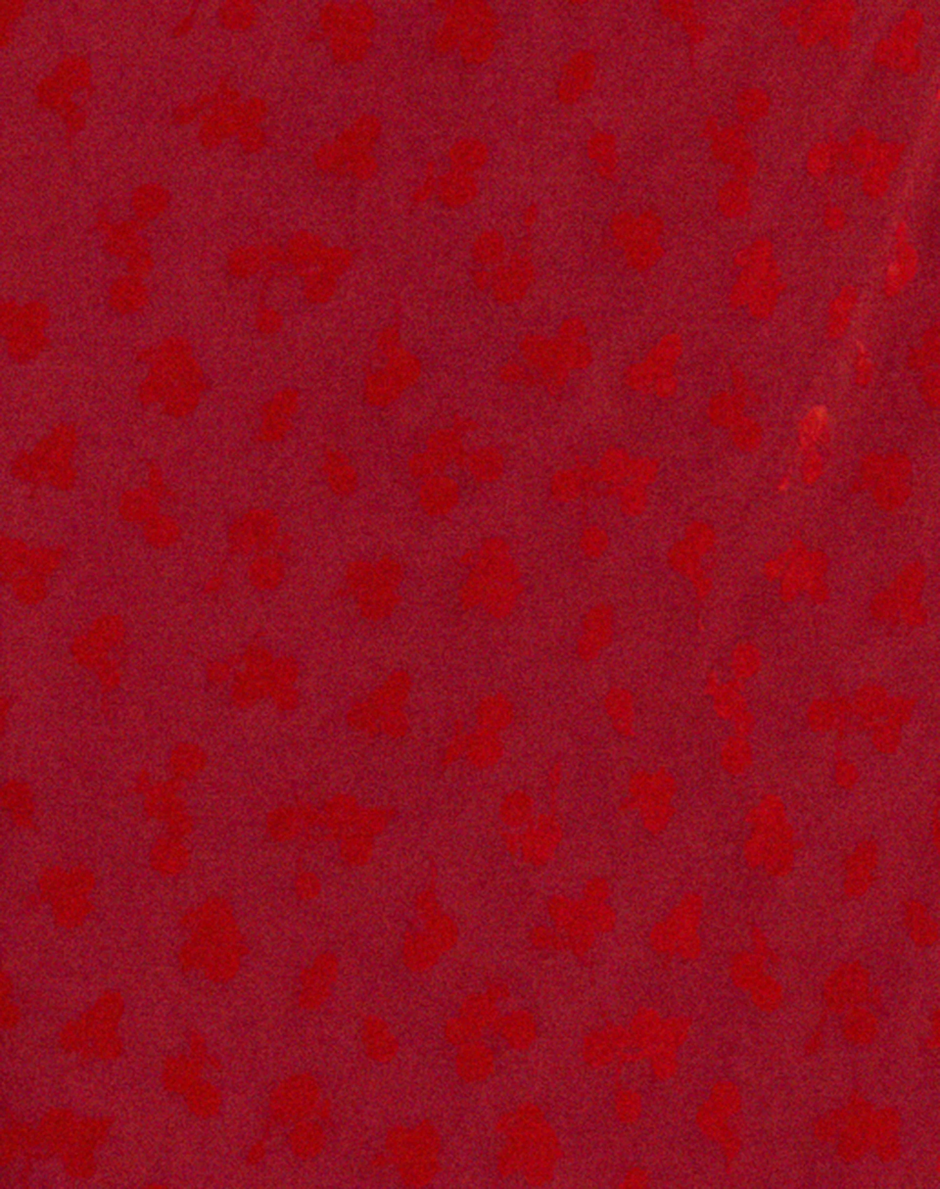 Rujha Midi Skirt in Red Flock Mesh - Image 5