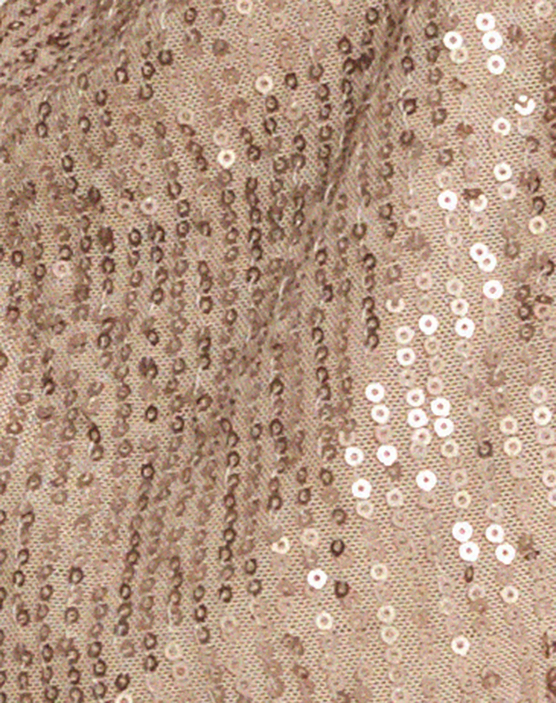 Runi Butterfly Top in Sequin Light Bronze - Image 7