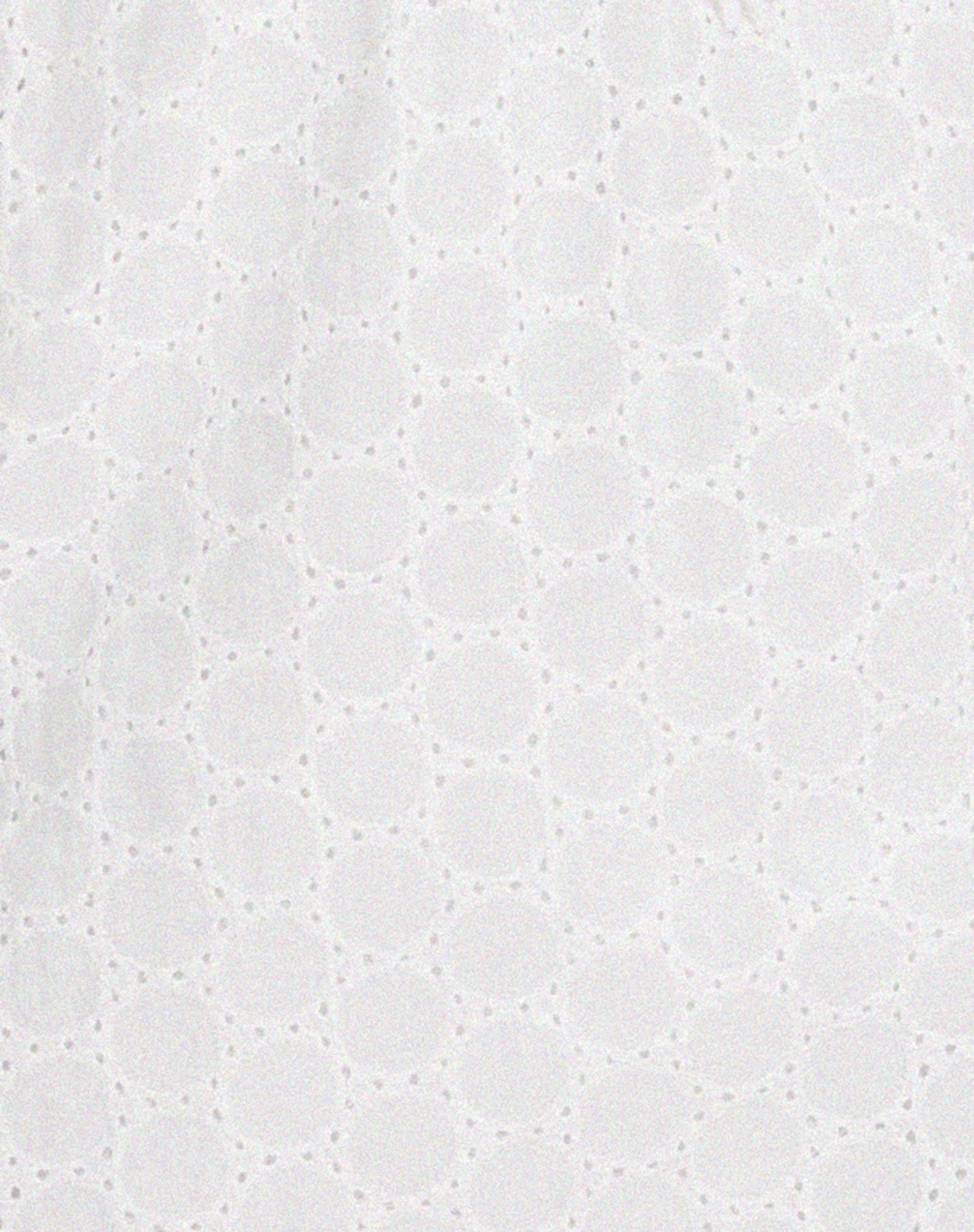 Sandira Mini Dress in White - Image 7