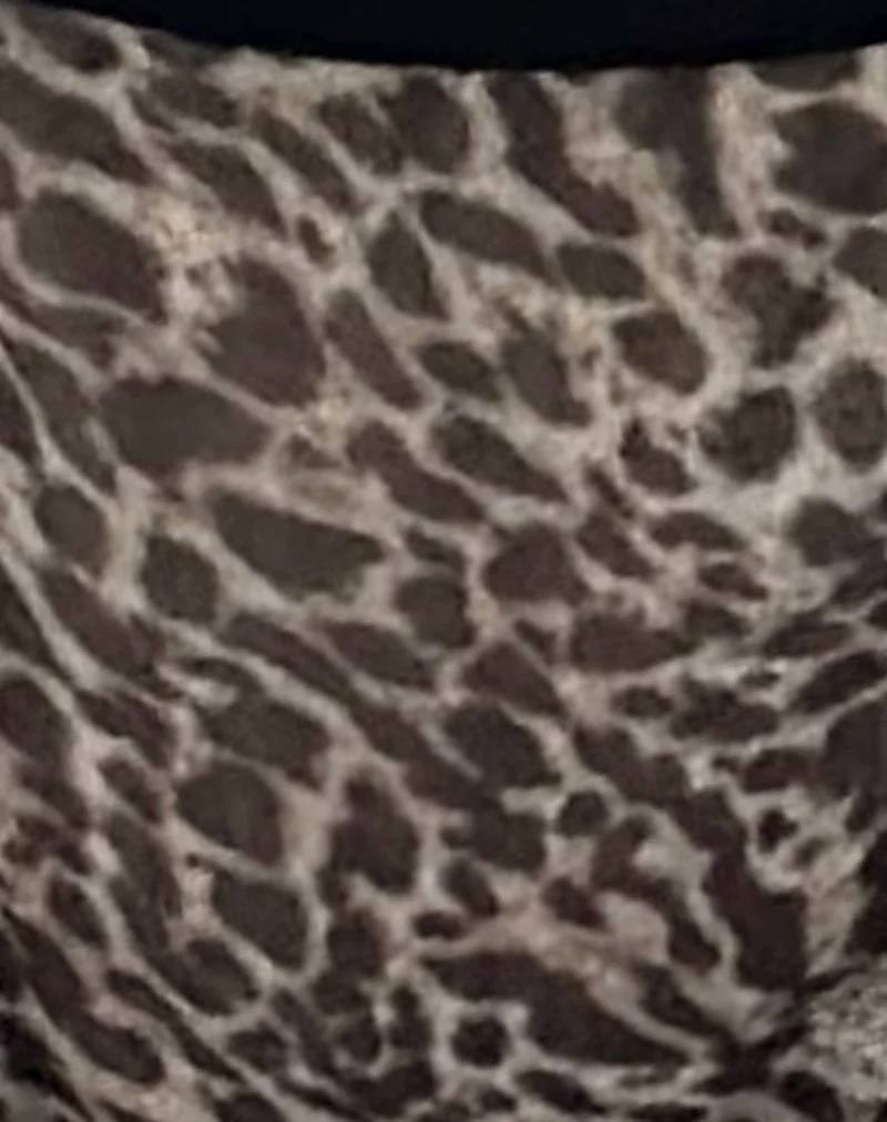 Sarua Thong in Mesh Leopard Print - Image 6