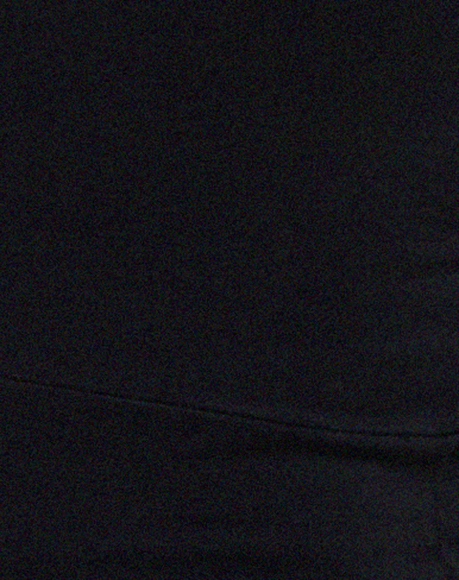 Sasma Jumpsuit in Lycra Black - Image 5