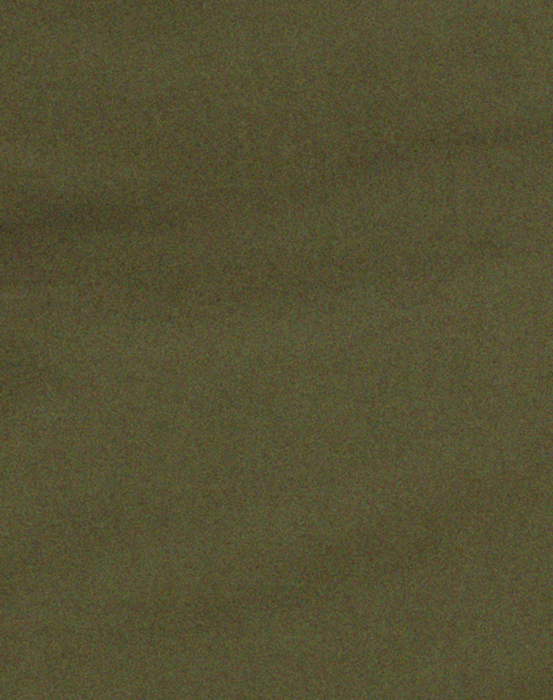 Sekoji Side Slit Midi Skirt in Khaki - Image 6