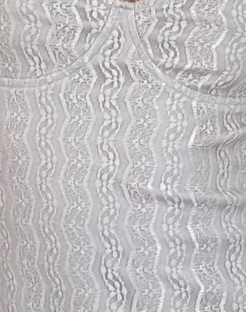 Shania Mini Dress in Silver Grey Lace Mesh - Image 6