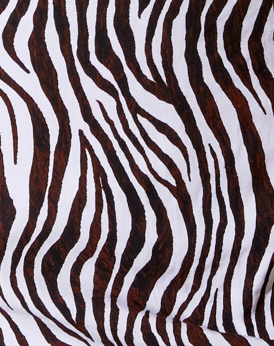 Shenka Mini Skirt in Zebra Vertical - Image 5