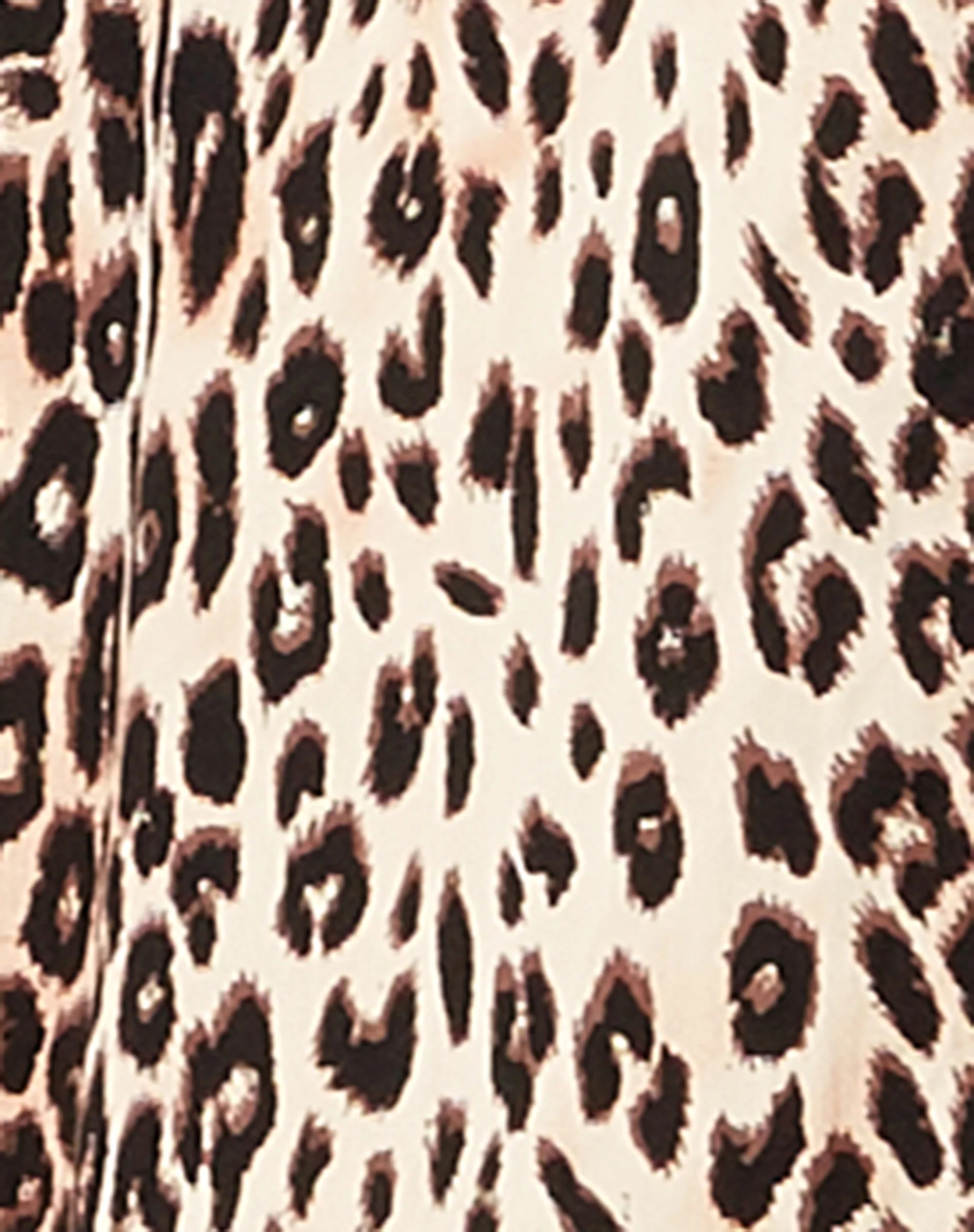 Smith Short Sleeve Shirt in True Leopard - Image 6