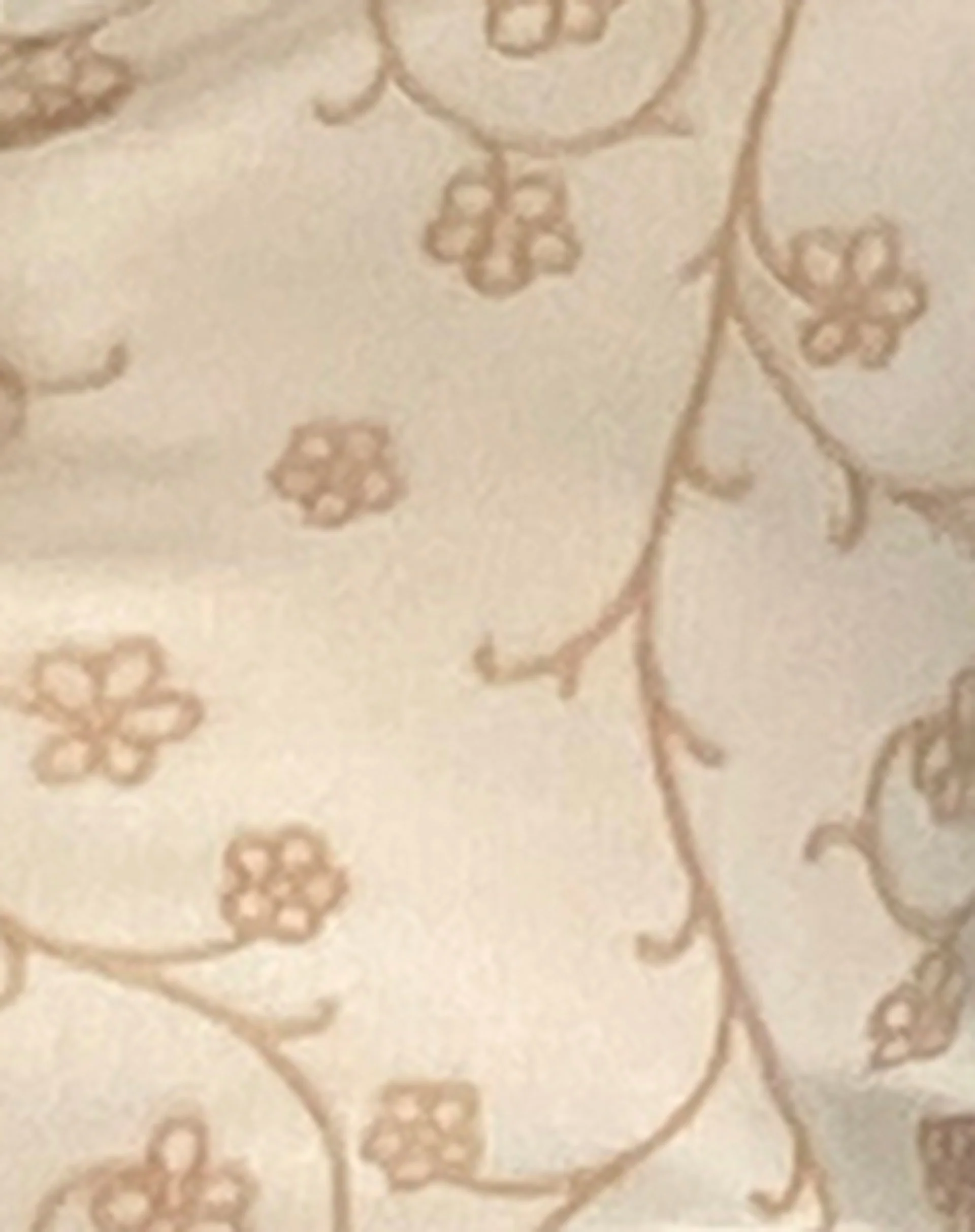 Sola Bardot Top in Beige Dainty Floral Flock - Image 6