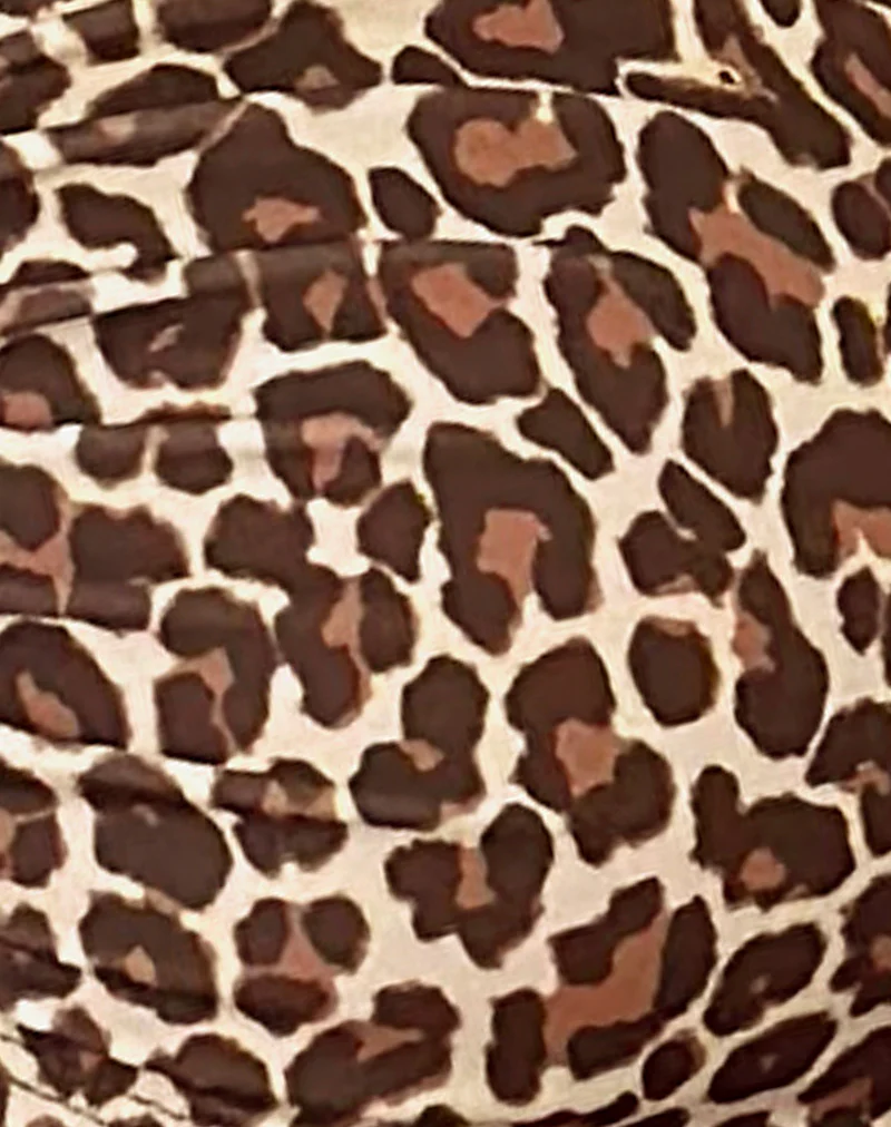 Sorawa Bikini Top in Rar Leopard - Image 6