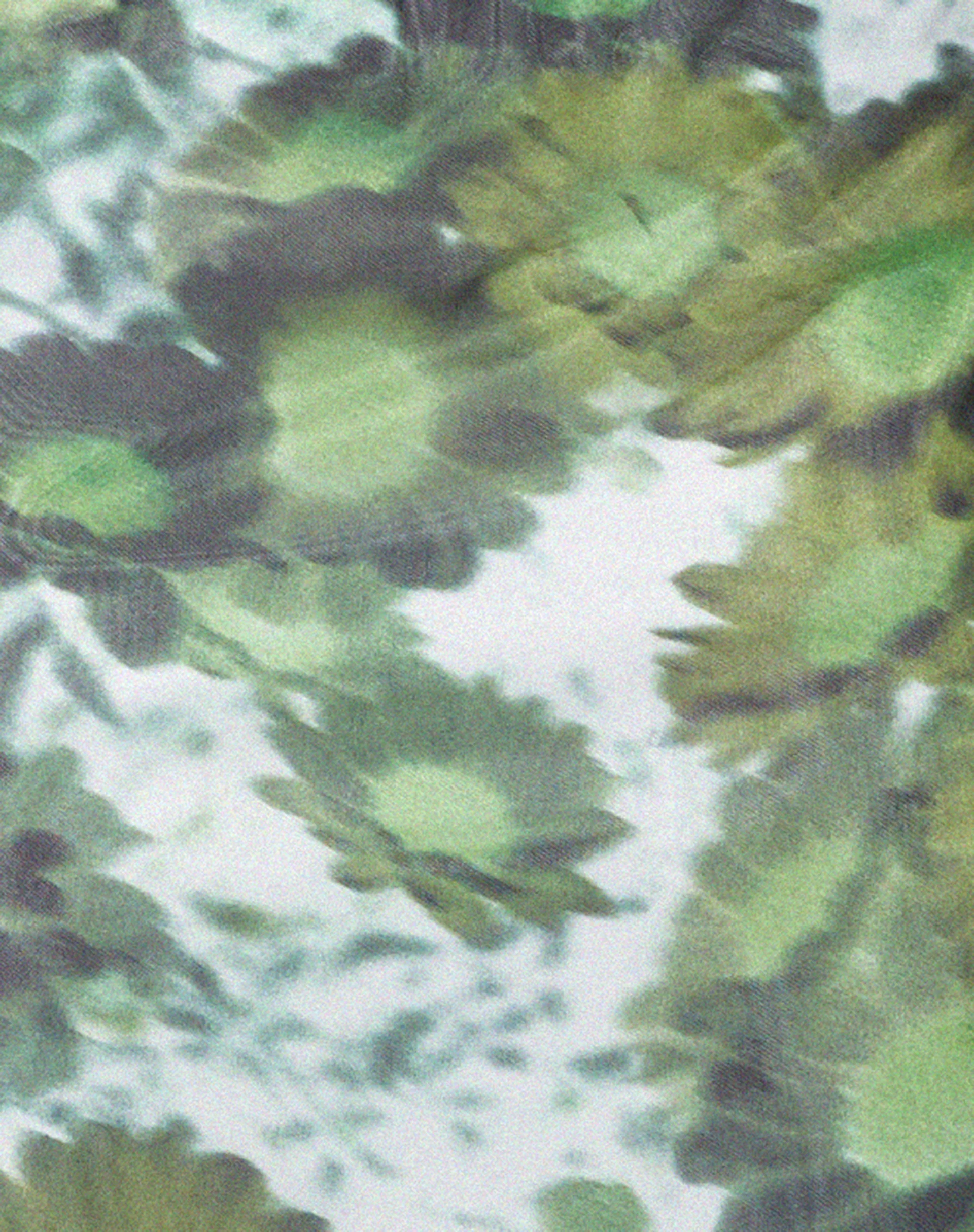 Tansu Midi Skirt in Xray Blurred Daisy Green - Image 5