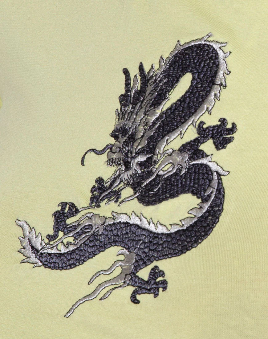 Tindy Crop Top in Pistachio Dragon Embro - Image 5