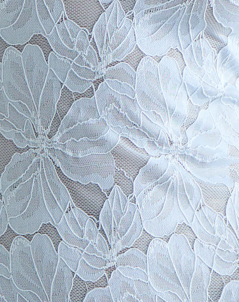 Titania Collar Mini Dress in Zinnia Lace Blue - Image 6