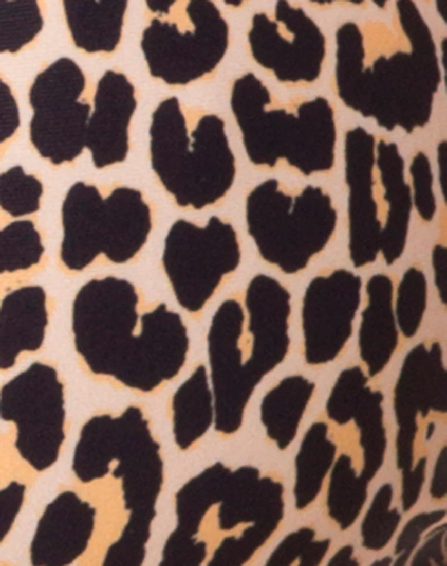 Valda Bikini Top in Rar Leopard - Image 5