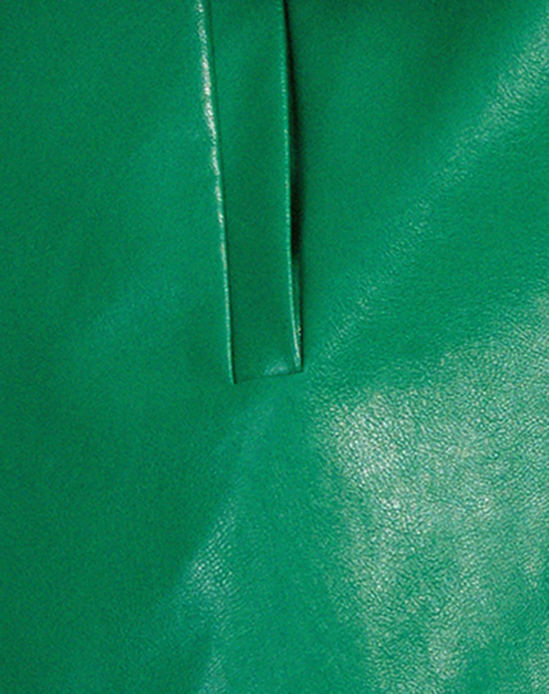 Walta Jacket in Pu Kelly Green - Image 5