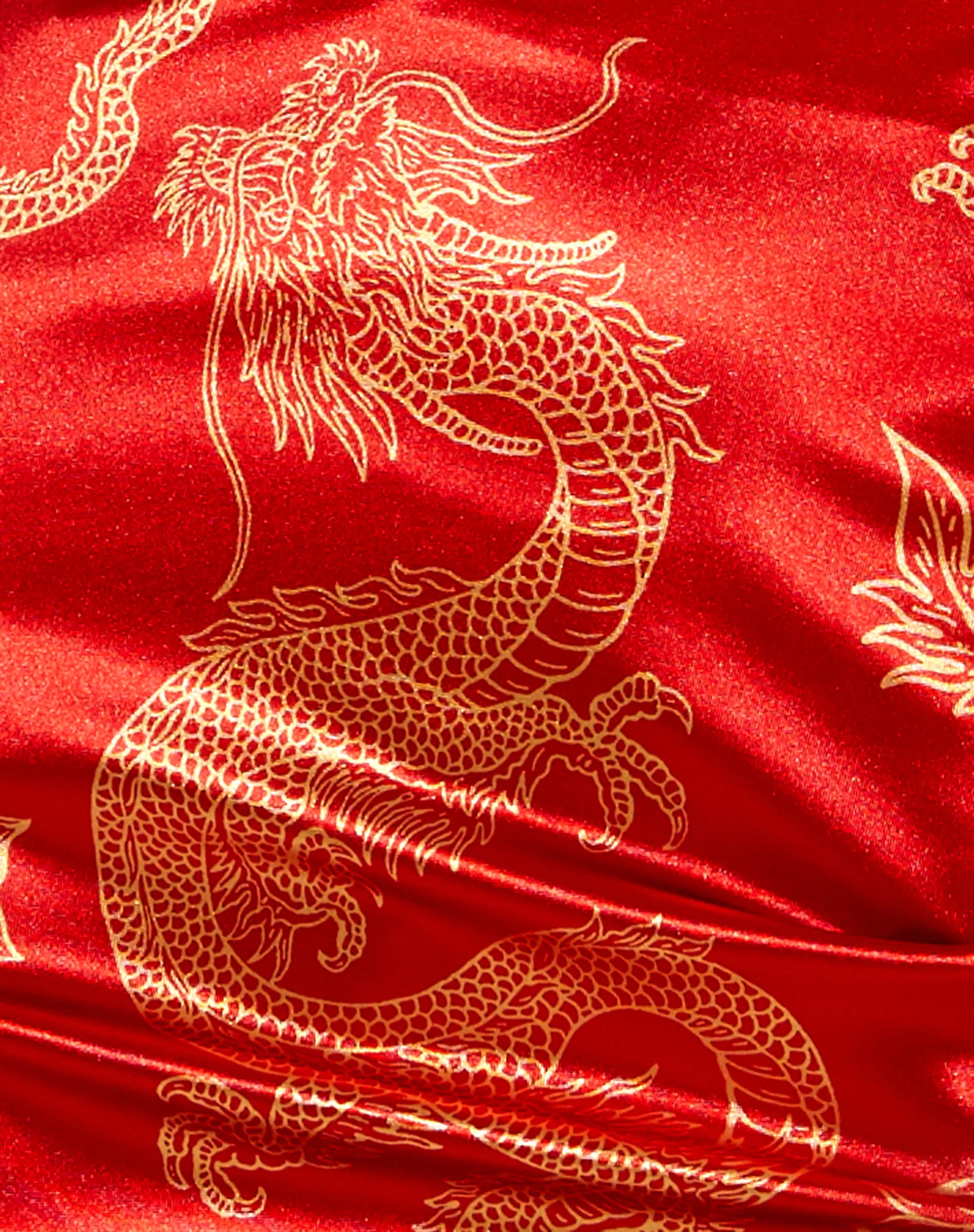 Wren Mini Skirt in Dragon Flower Red and Gold - Image 5
